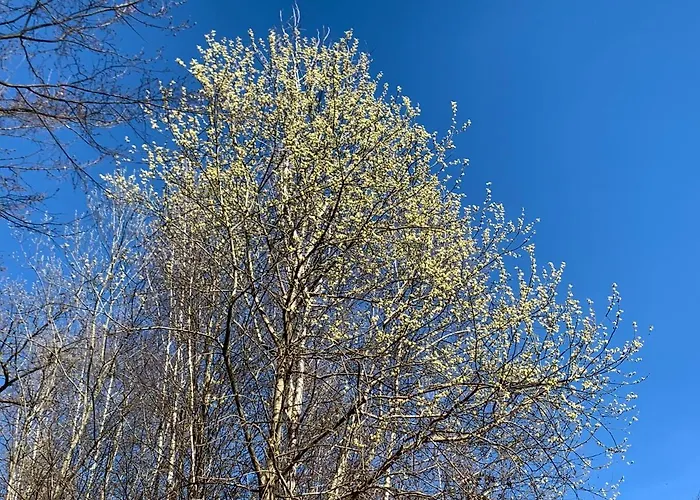 Familienglueck In Der Weststeiermark 아파트 Sankt Oswald ob Eibiswald