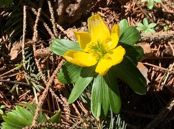 Familienglueck In Der Weststeiermark * Sankt Oswald ob Eibiswald